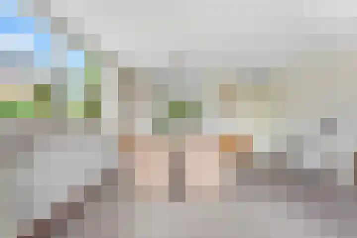 Touwbaan 27 Alblasserdam thumbnail 13