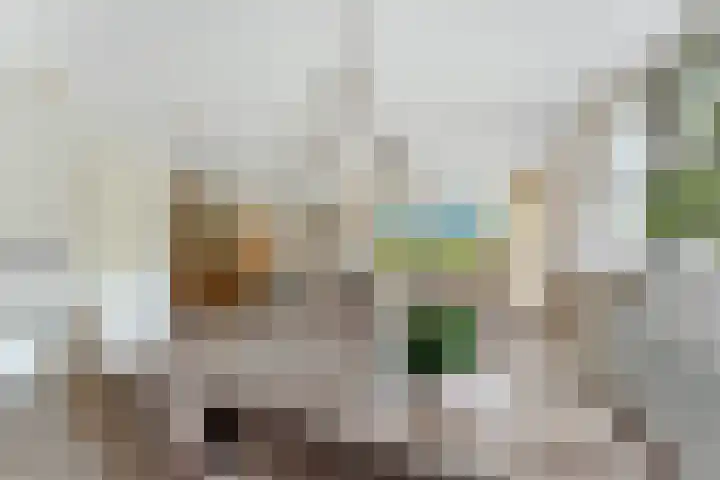 Touwbaan 27 Alblasserdam thumbnail 15