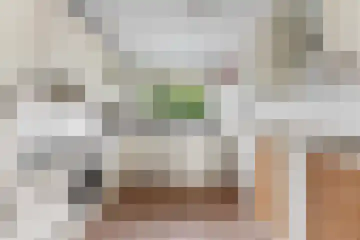 Touwbaan 27 Alblasserdam thumbnail 16