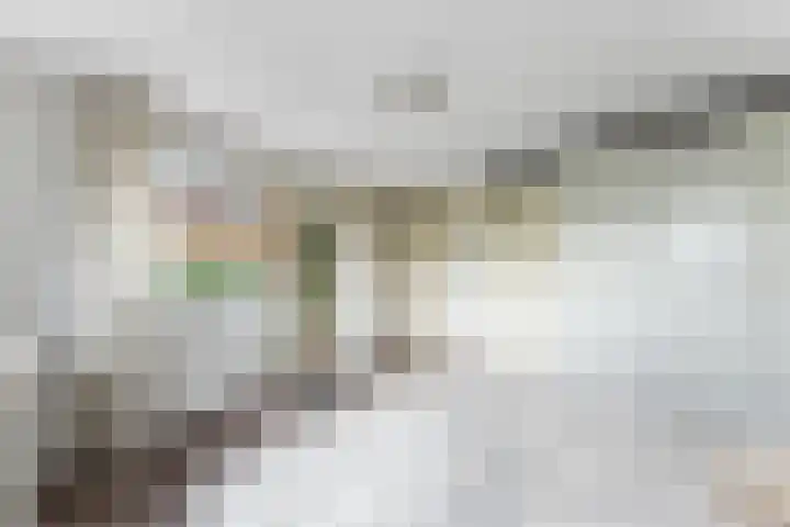 Touwbaan 27 Alblasserdam thumbnail 22