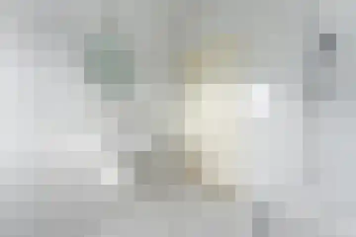 Touwbaan 27 Alblasserdam thumbnail 29