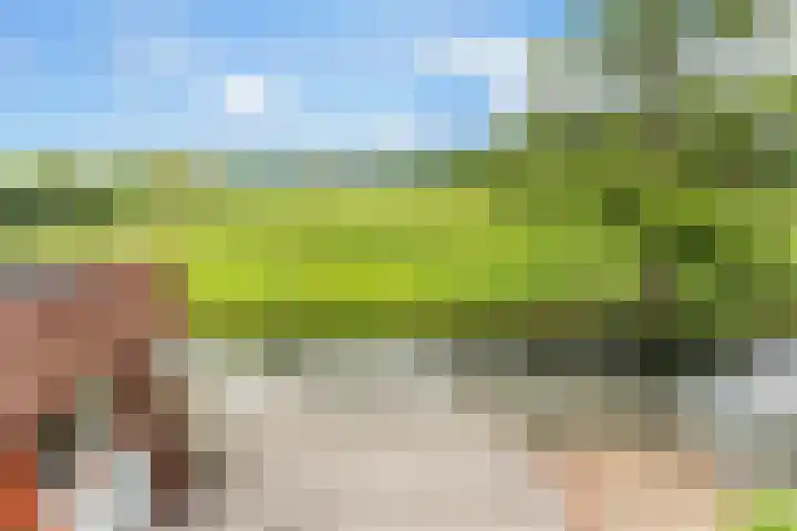 Touwbaan 27 Alblasserdam thumbnail 34