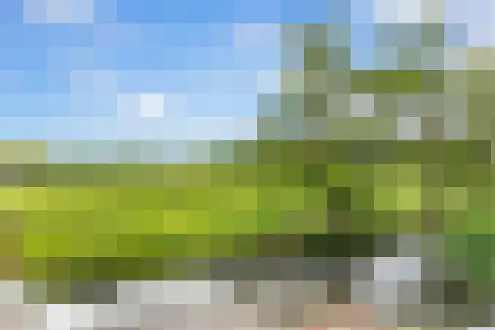 Touwbaan 27 Alblasserdam thumbnail 35