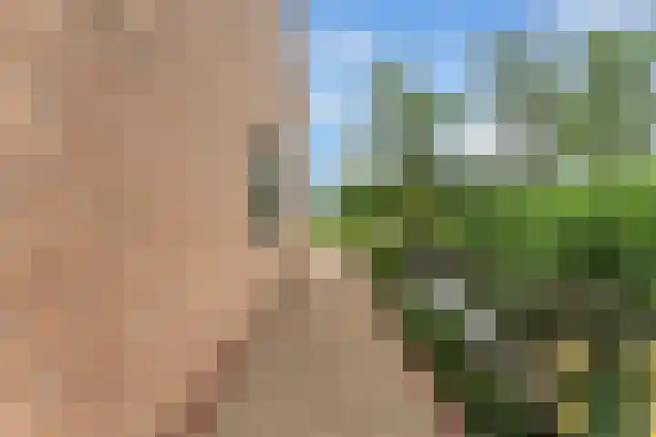 Touwbaan 27 Alblasserdam thumbnail 40