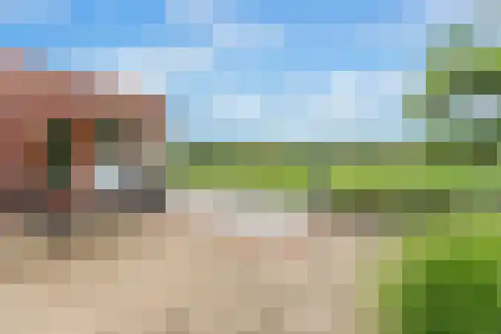 Touwbaan 27 Alblasserdam thumbnail 41