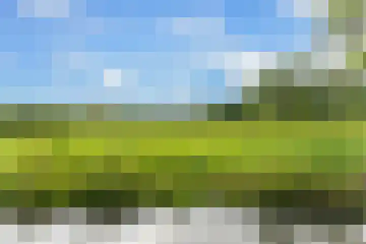 Touwbaan 27 Alblasserdam thumbnail 42