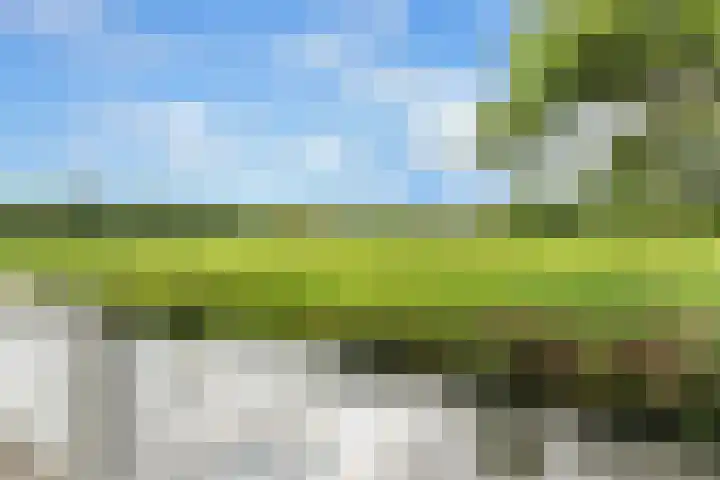 Touwbaan 27 Alblasserdam thumbnail 43