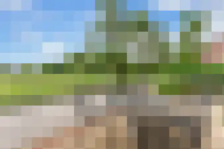 Touwbaan 27 Alblasserdam thumbnail 46