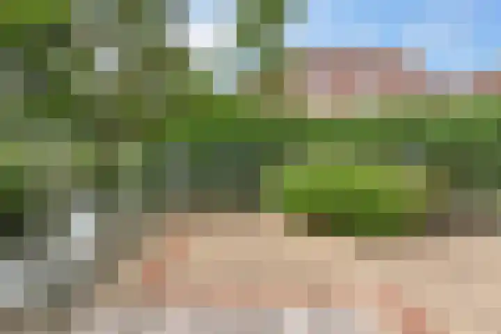 Touwbaan 27 Alblasserdam thumbnail 47