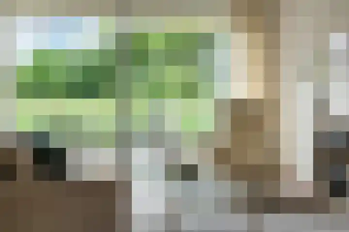 Touwbaan 27 Alblasserdam thumbnail 7