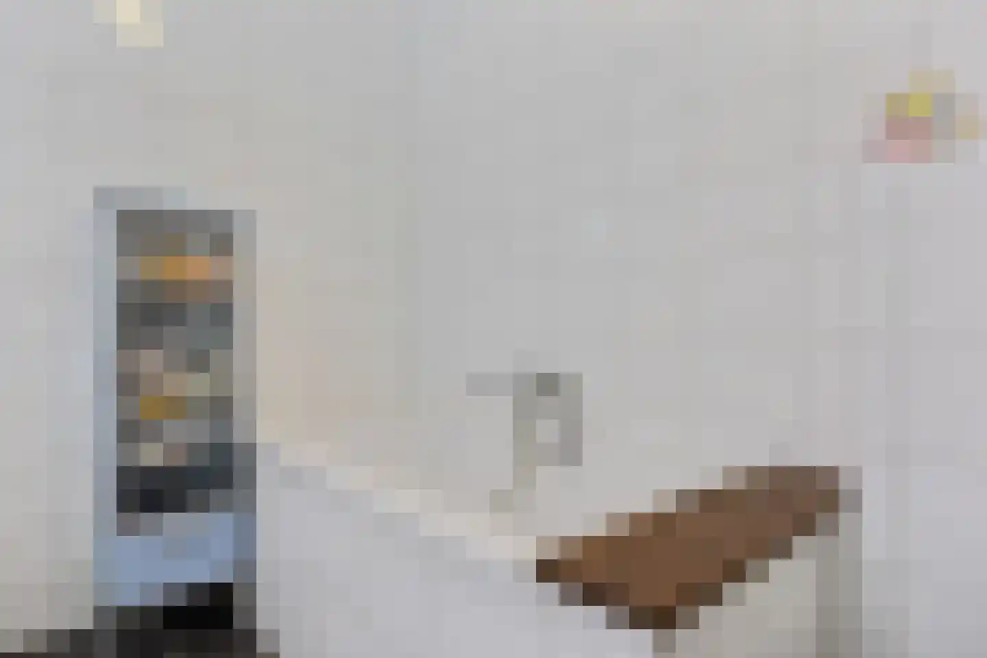 Touwbaan 31 Oosterhout thumbnail 32