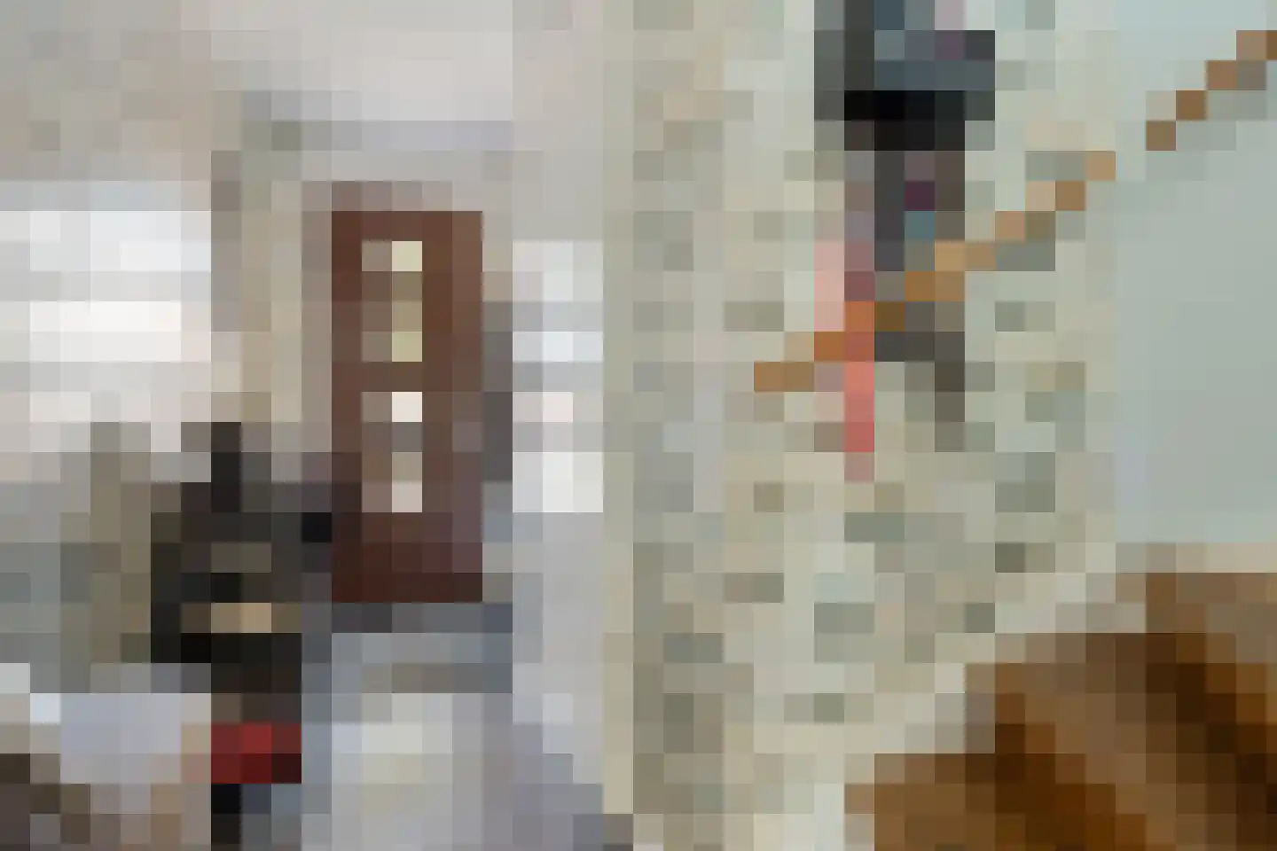 Touwbaan 31 Oosterhout thumbnail 6