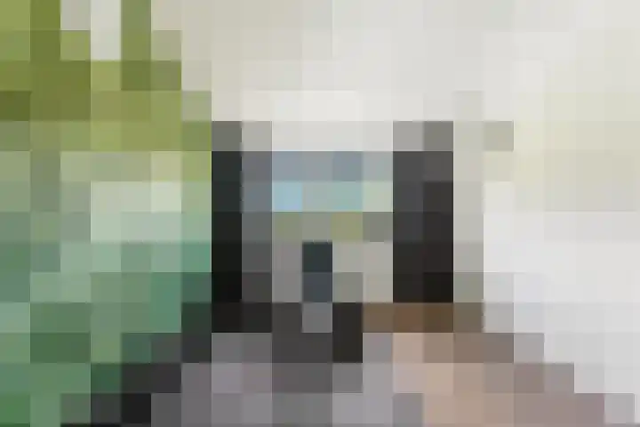 Touwbaan 34 Alblasserdam thumbnail 40