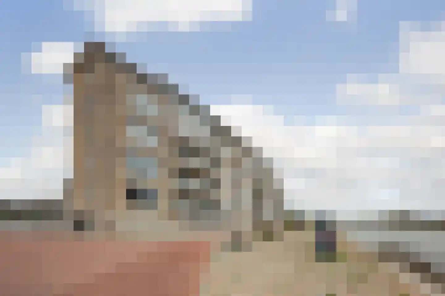 Touwbaan 40 Middelburg thumbnail 6