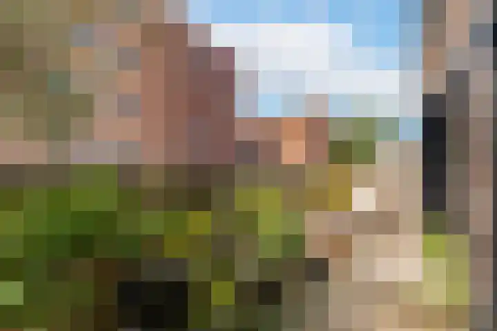 Touwbaan 58 a Almelo thumbnail 24