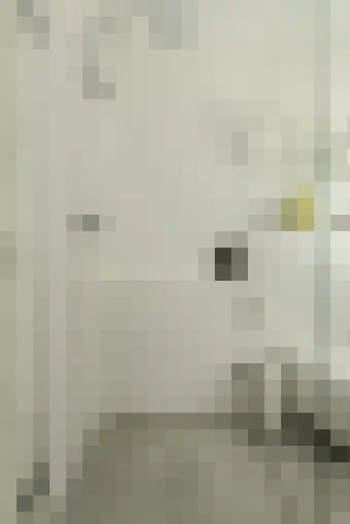 Touwbaan 6 Oosterhout thumbnail 21