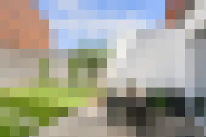 Touwbaan 6 Oosterhout thumbnail 24