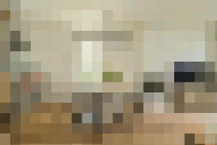 Touwbaan 6 Oosterhout thumbnail 4