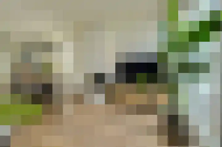 Touwbaan 6 Oosterhout thumbnail 5