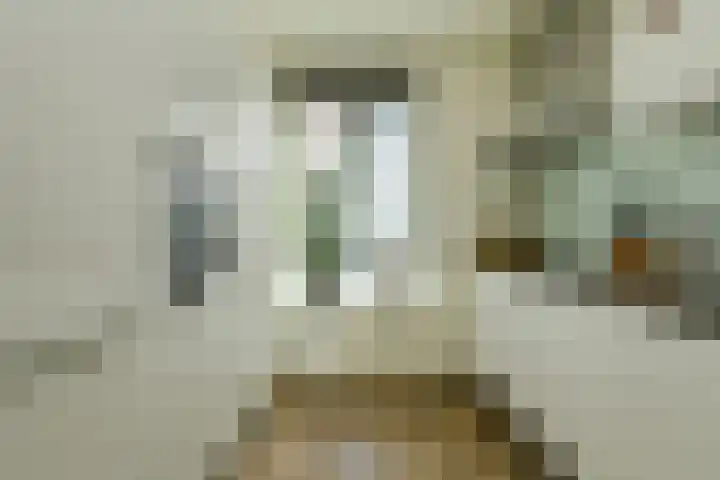 Touwbaan 6 Oosterhout thumbnail 6
