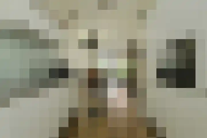 Touwbaan 6 Oosterhout thumbnail 8