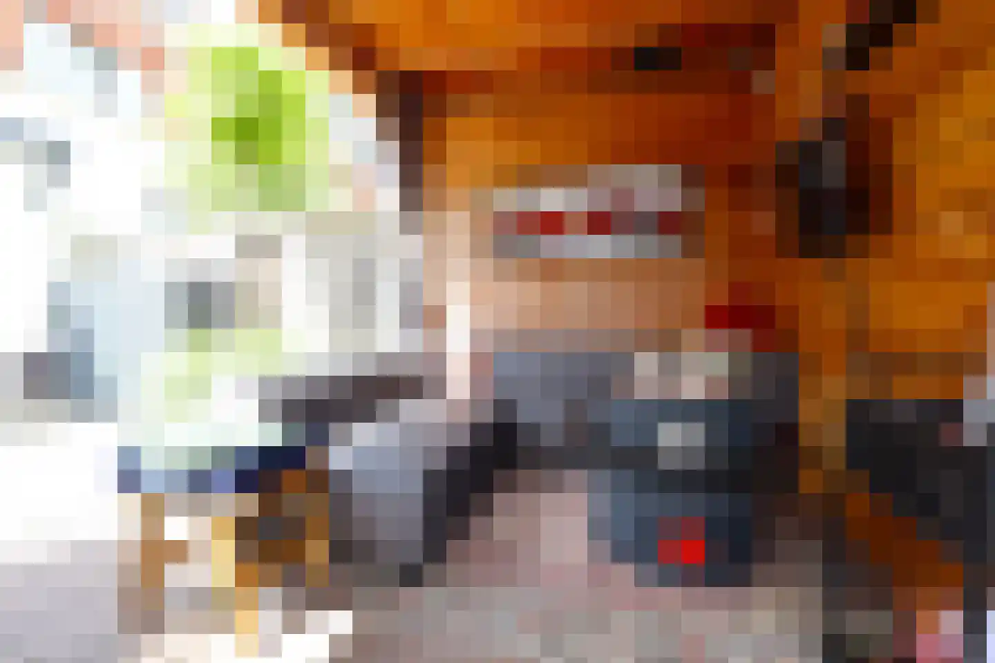 Touwbaan 9 Oosterhout thumbnail 15