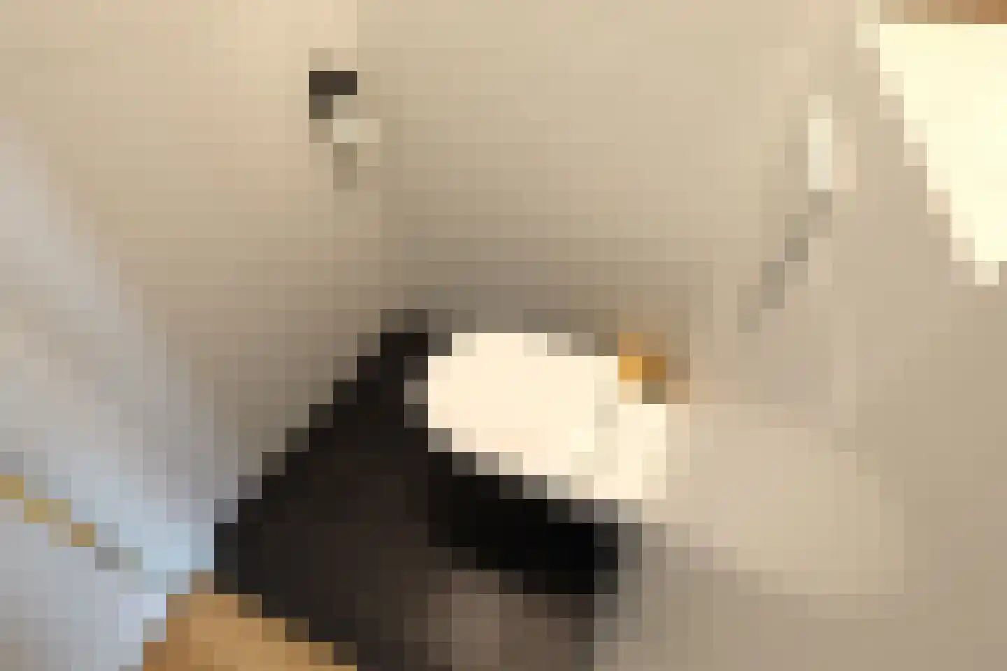 Touwbaan 9 Oosterhout thumbnail 26