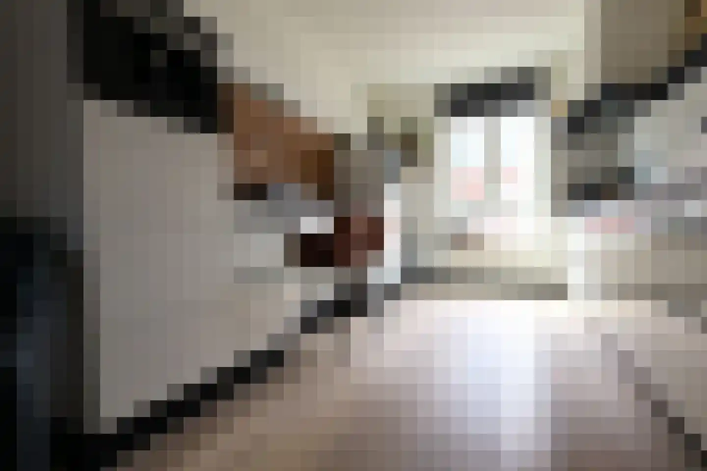 Touwbaan 9 Oosterhout thumbnail 9