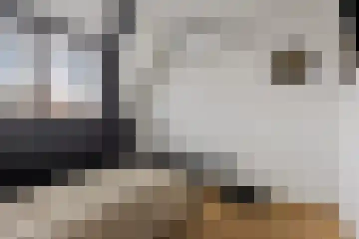 Touwerij 81 Waalwijk thumbnail 21