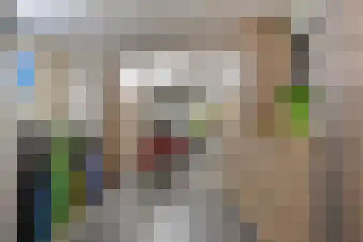Touwerij 81 Waalwijk thumbnail 31