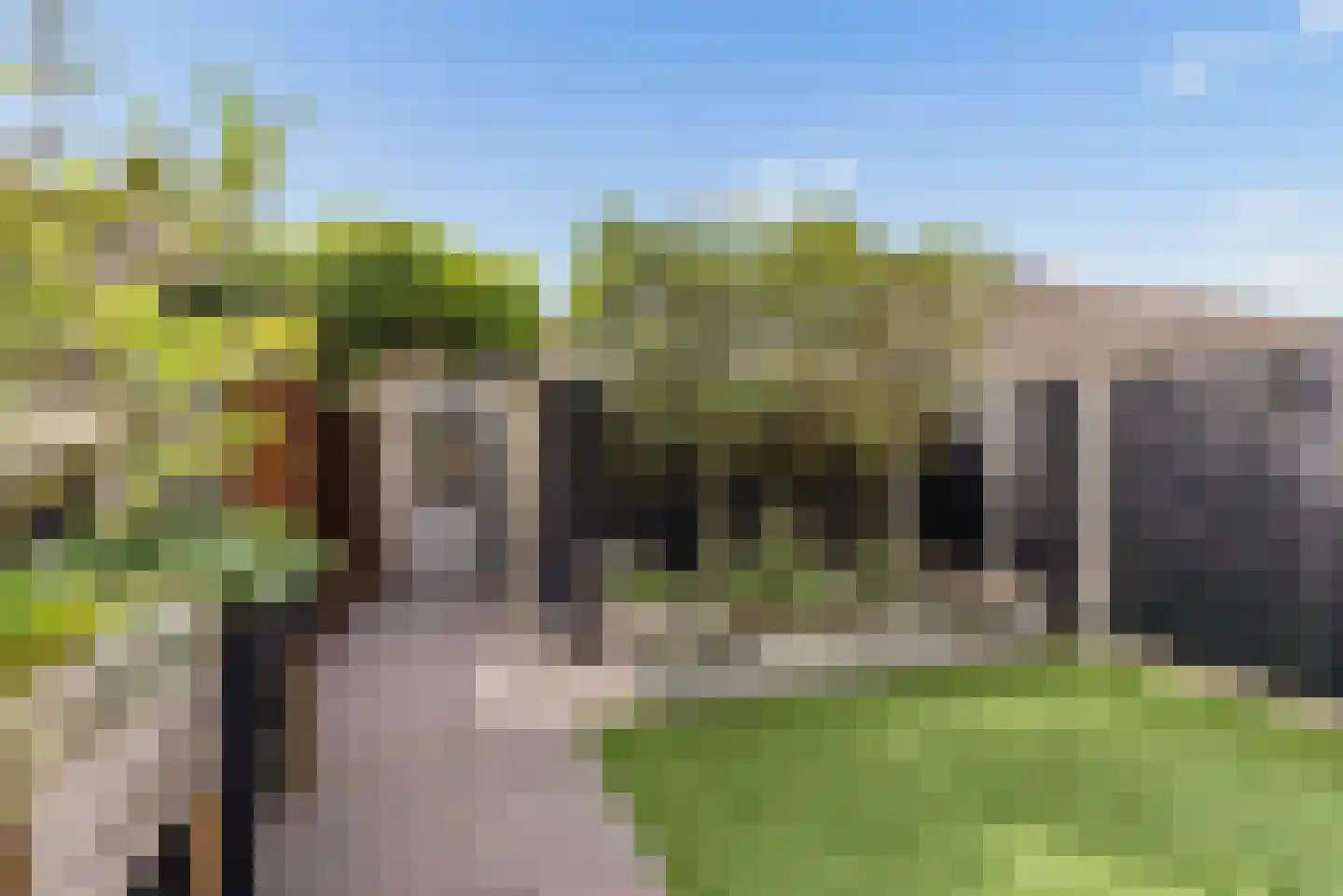 Touwslager 110 Zeewolde thumbnail 59