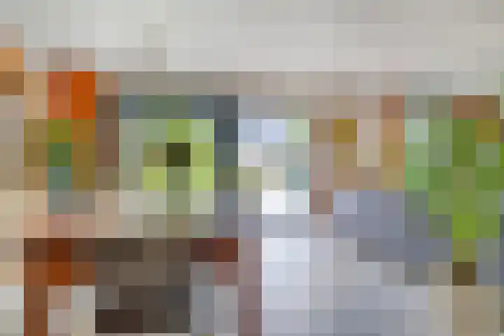 Touwslager 26 Leiderdorp thumbnail 10
