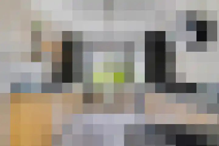 Touwslager 26 Leiderdorp thumbnail 20