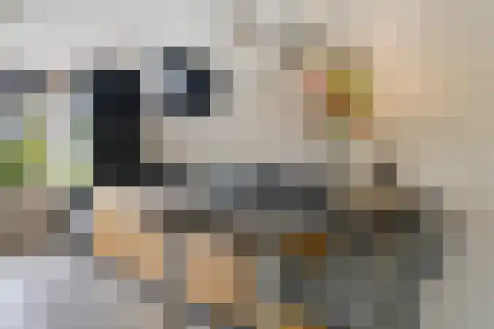 Touwslager 26 Leiderdorp thumbnail 22