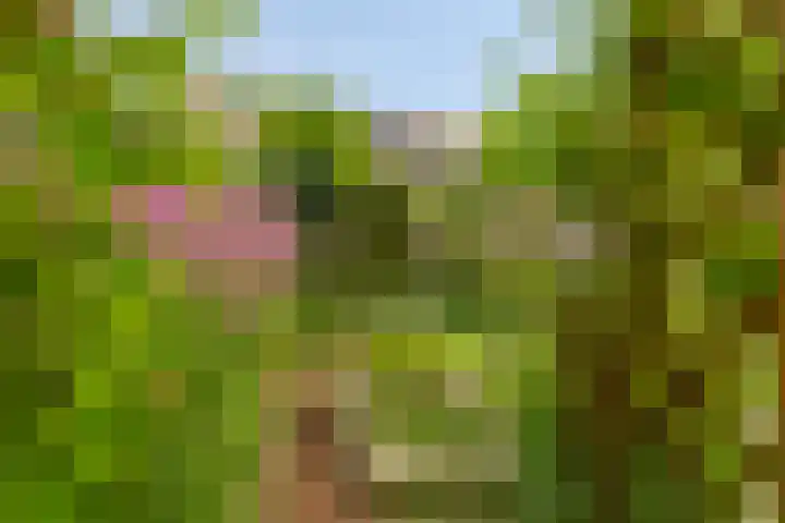 Touwslager 26 Leiderdorp thumbnail 25