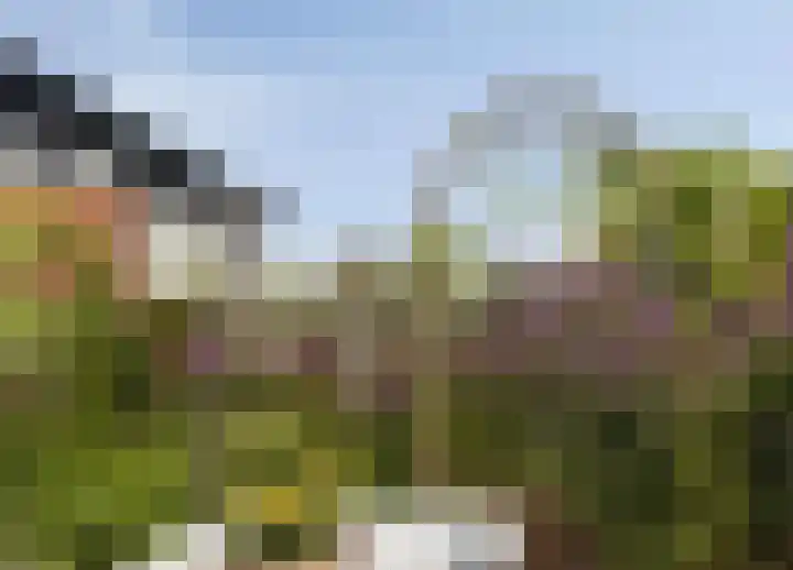 Touwslager 26 Leiderdorp thumbnail 27