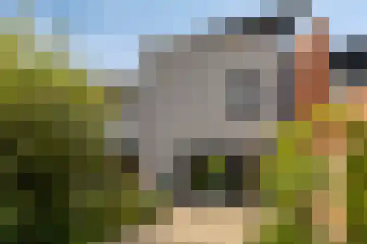 Touwslager 26 Leiderdorp thumbnail 29