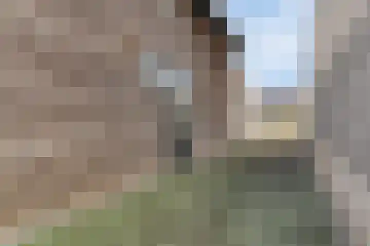 Touwslager 26 Leiderdorp thumbnail 44