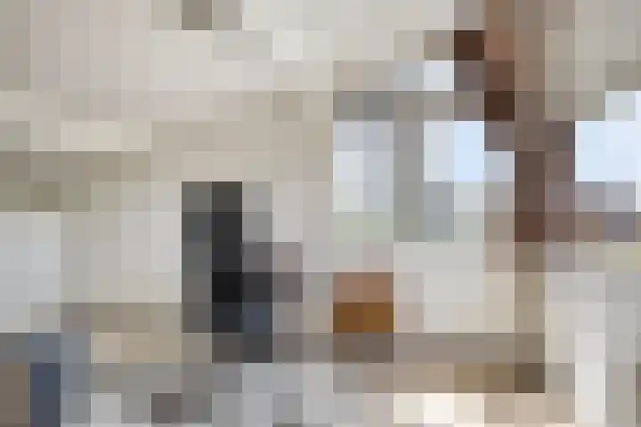 Touwslager 26 Leiderdorp thumbnail 47