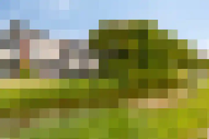 Touwslager 26 Leiderdorp thumbnail 53