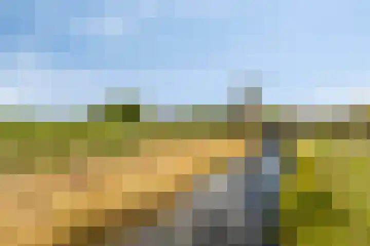 Touwslager 26 Leiderdorp thumbnail 55