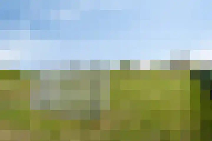Touwslager 26 Leiderdorp thumbnail 57