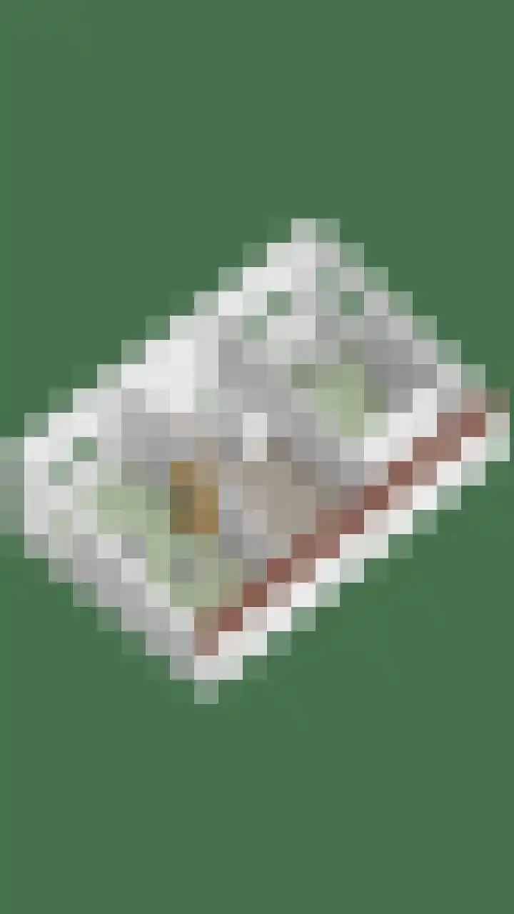 Touwslager 26 Leiderdorp thumbnail 66