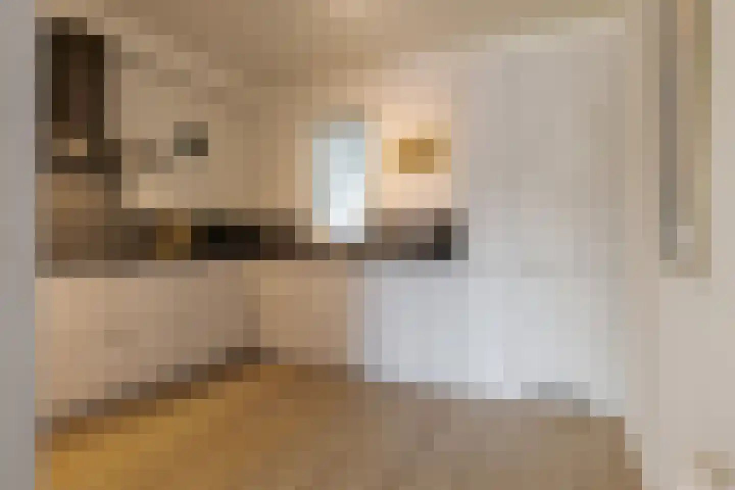 Touwslager 47 Roden thumbnail 19