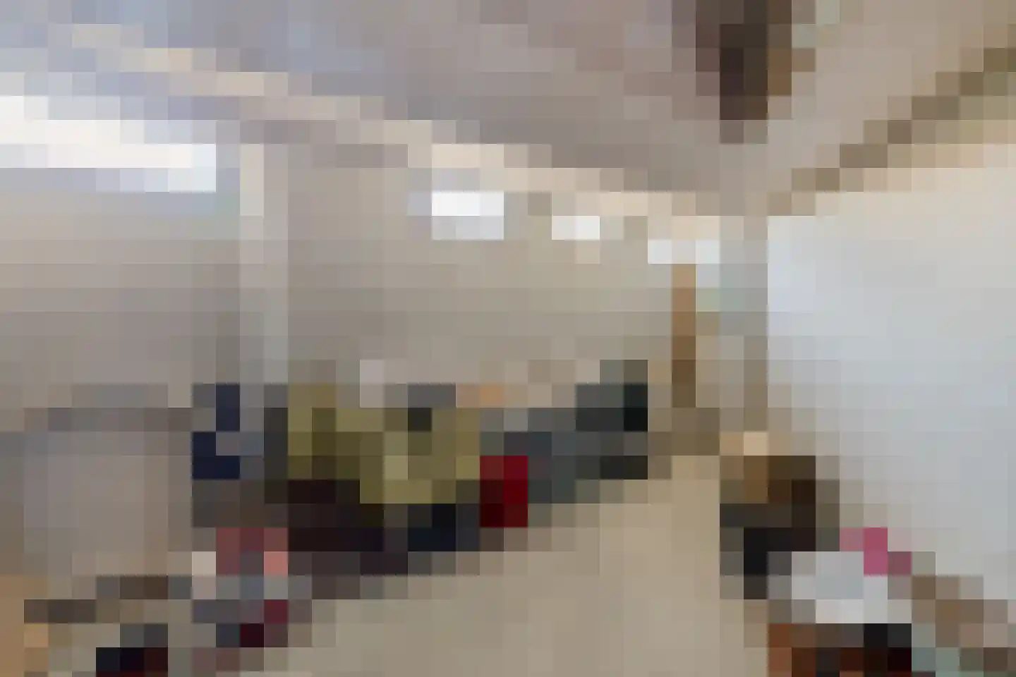 Touwslager 53 Roden thumbnail 38