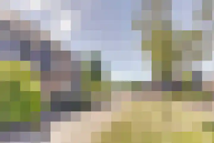 Touwslager 82 Zeewolde thumbnail 6