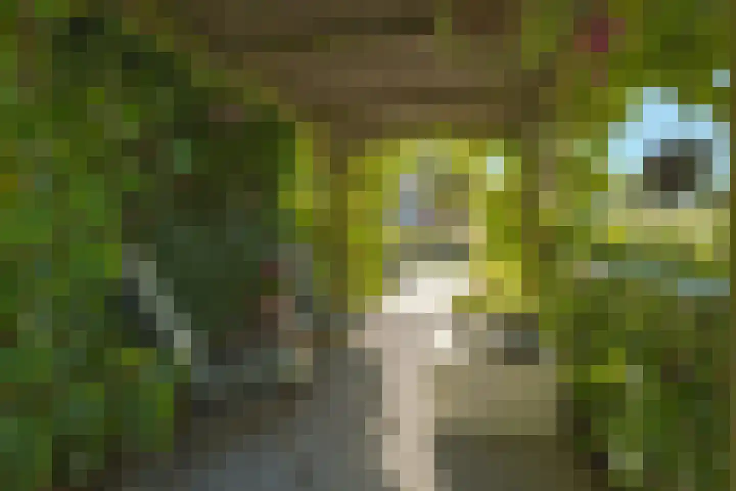 Touwslagerij 28 Barendrecht thumbnail 43