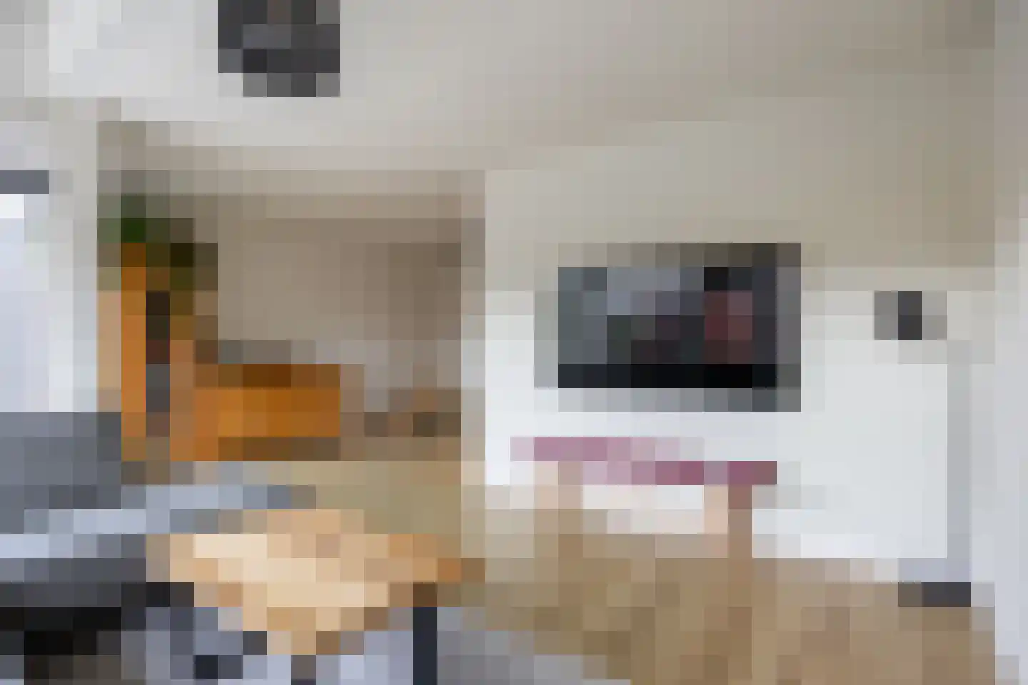 Touwslagerij 5 Winsum thumbnail 6