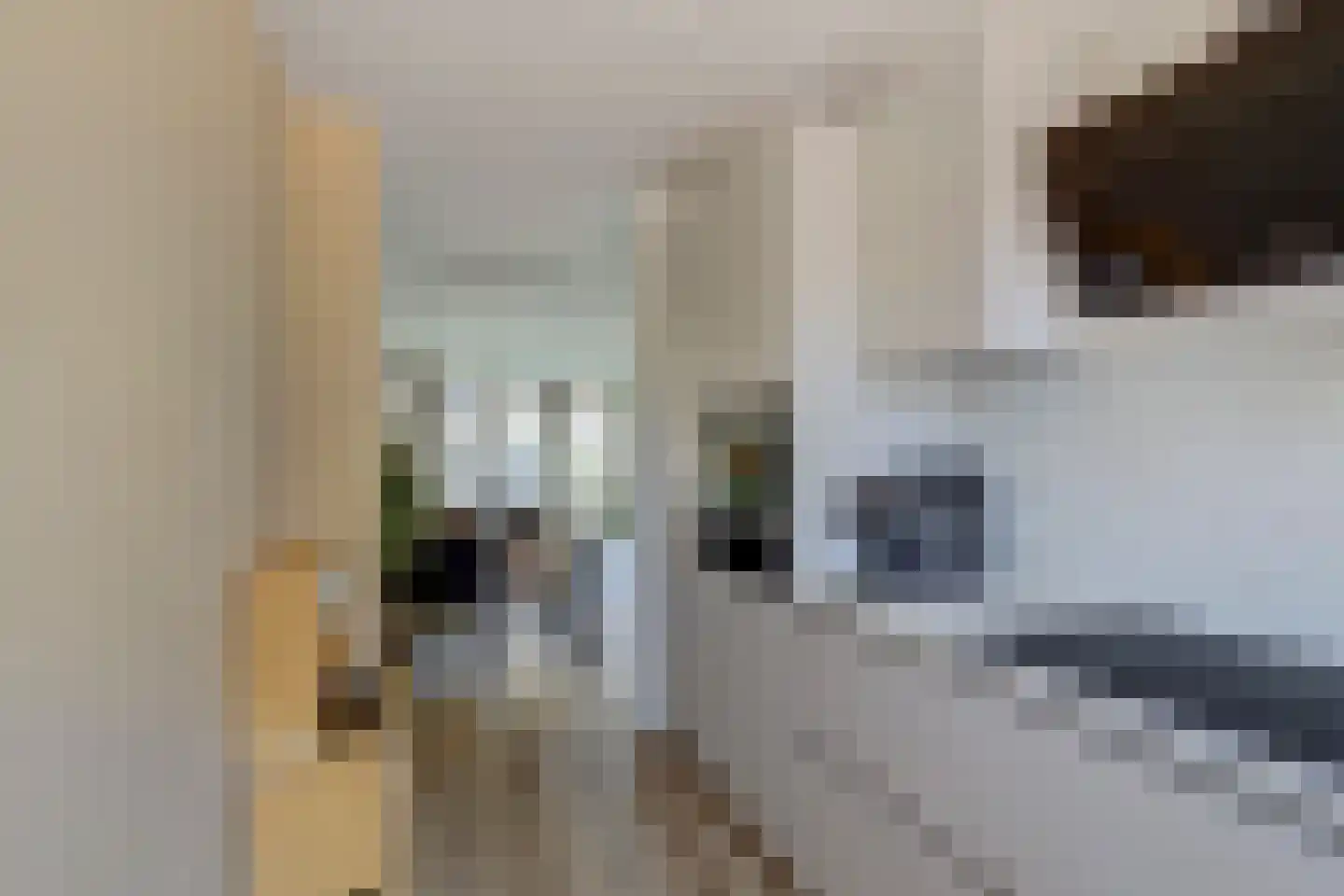 Touwslagerijbaan 11 Nieuwegein thumbnail 13