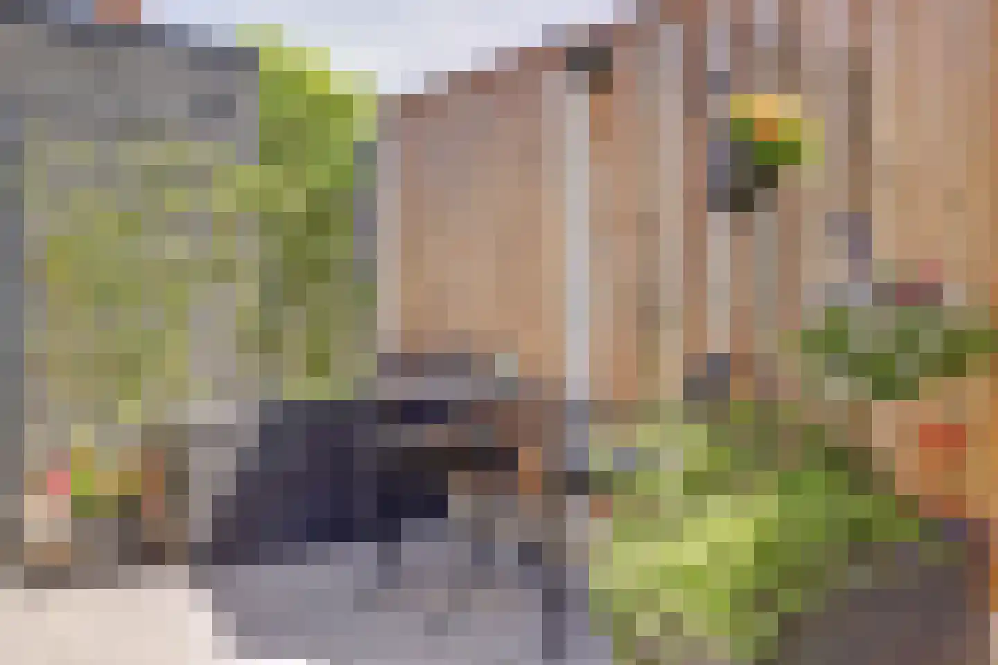 Touwslagerijbaan 11 Nieuwegein thumbnail 16